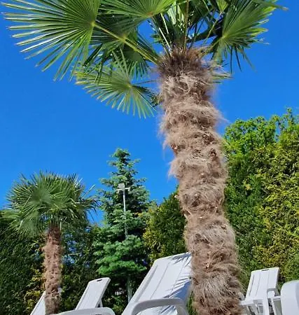 Frühstückspension Ambre Mare - Wypoczynek Pod Palmami 4*