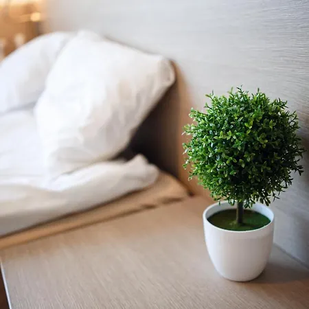 Ambre Mare - Wypoczynek Pod Palmami Bed & Breakfast