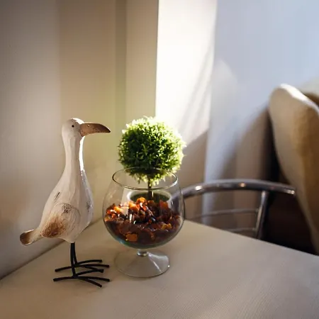 Ambre Mare - Wypoczynek Pod Palmami 4* Pobierowo