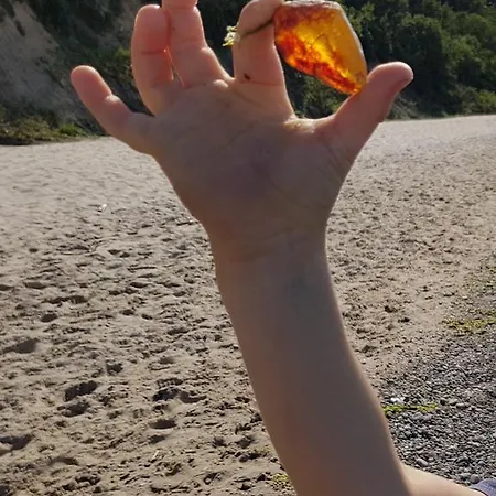 Frühstückspension Ambre Mare - Wypoczynek Pod Palmami