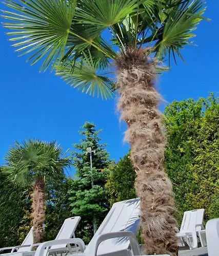 Alojamento de Acomodação e Pequeno-almoço Ambre Mare - Wypoczynek Pod Palmami 4*