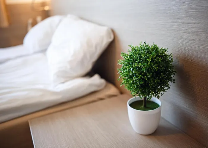 Ambre Mare - Wypoczynek Pod Palmami 住宿加早餐酒店