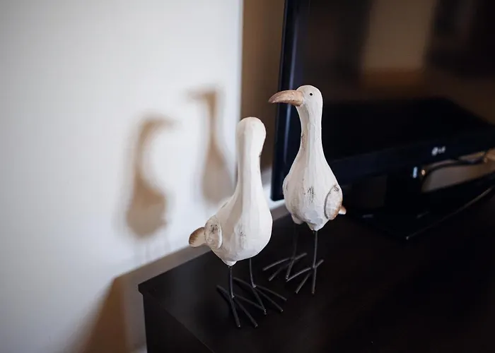 Ambre Mare - Wypoczynek Pod Palmami Pobierowo