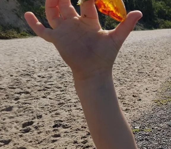 住宿加早餐酒店 Ambre Mare - Wypoczynek Pod Palmami